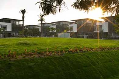 Landscape Garden